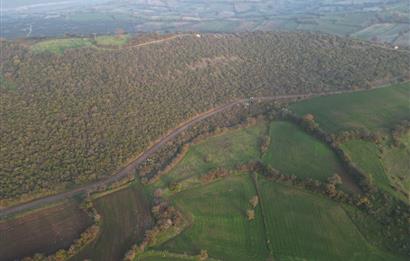 C21 BAL'DAN AKÇAKÖYDE//3750M2// YOLU AÇIK// SATILIK TARLA