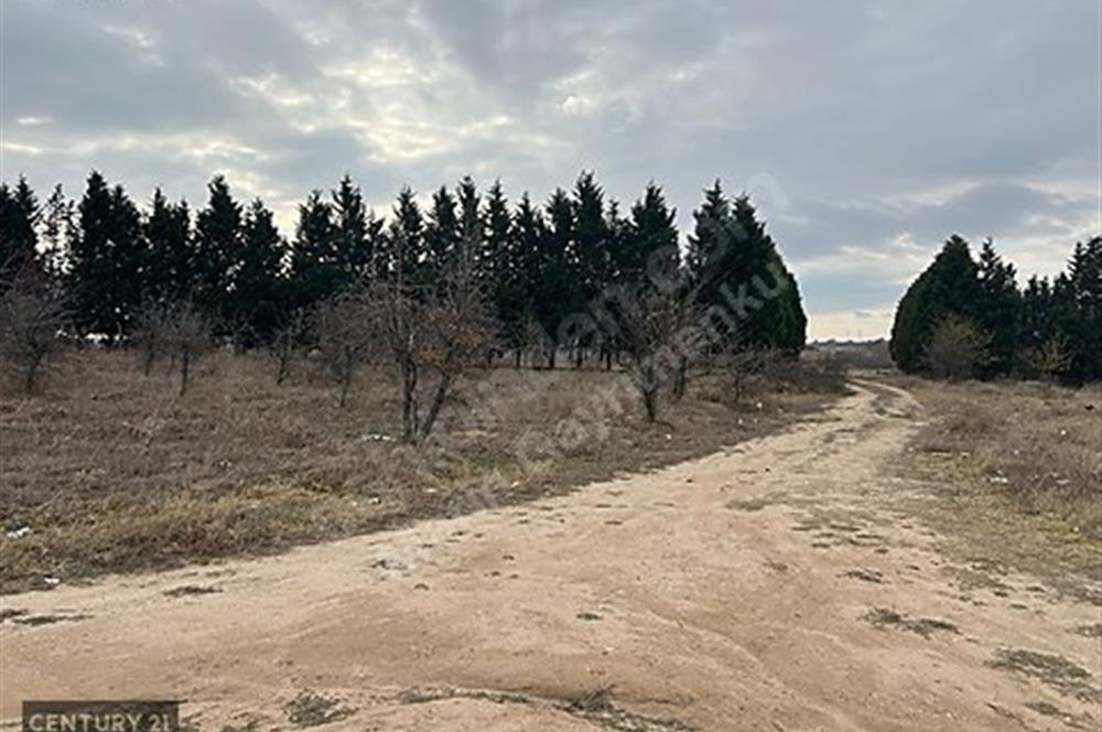 ERGENE VELİMEŞE 3 KAT İMARLI 737 M2 ARSA