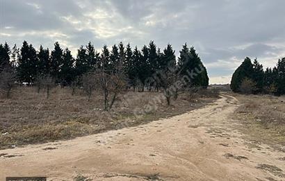 ERGENE VELİMEŞE 3 KAT İMARLI 737 M2 ARSA