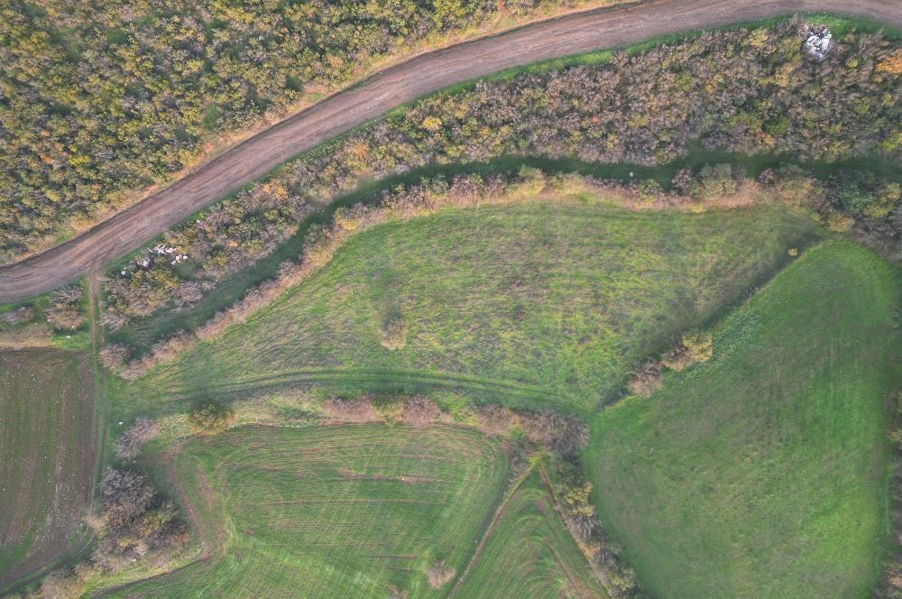 C21 BAL'DAN AKÇAKÖYDE//3750M2// YOLU AÇIK// SATILIK TARLA