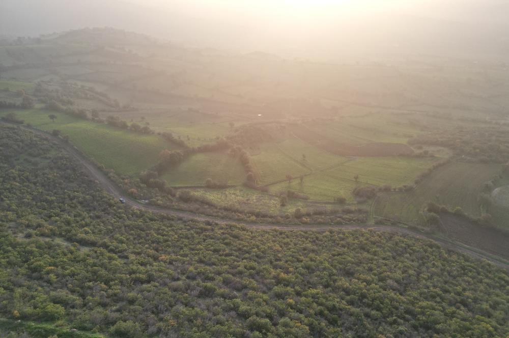 C21 BAL'DAN AKÇAKÖYDE//3750M2// YOLU AÇIK// SATILIK TARLA