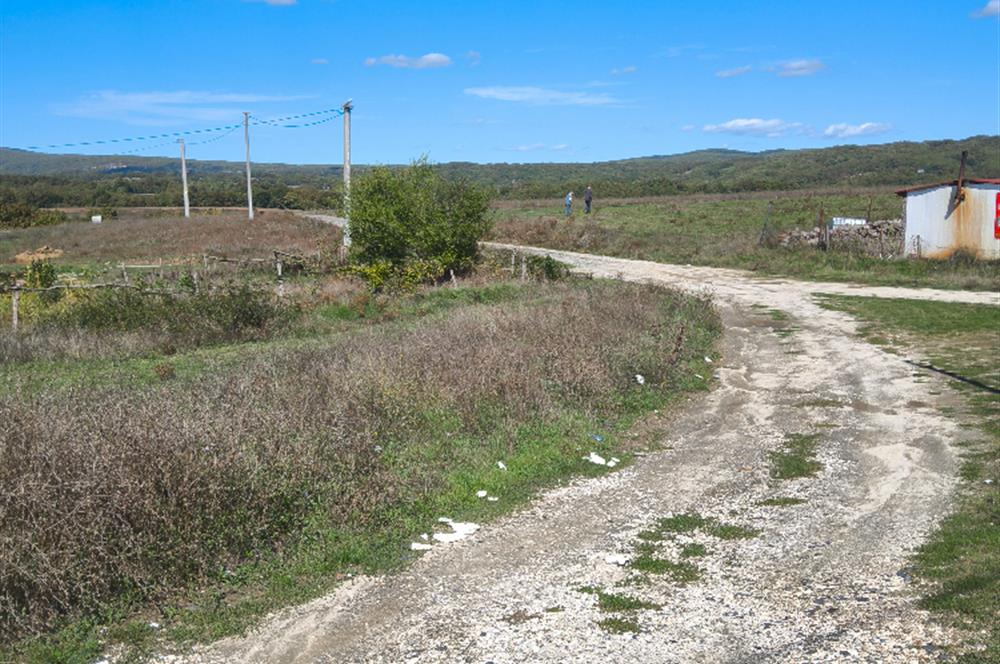 CENTURY21|NEXAR'DAN KIRKLARELİ DEMİRKÖY'DE KONUT İMARLI ARSA