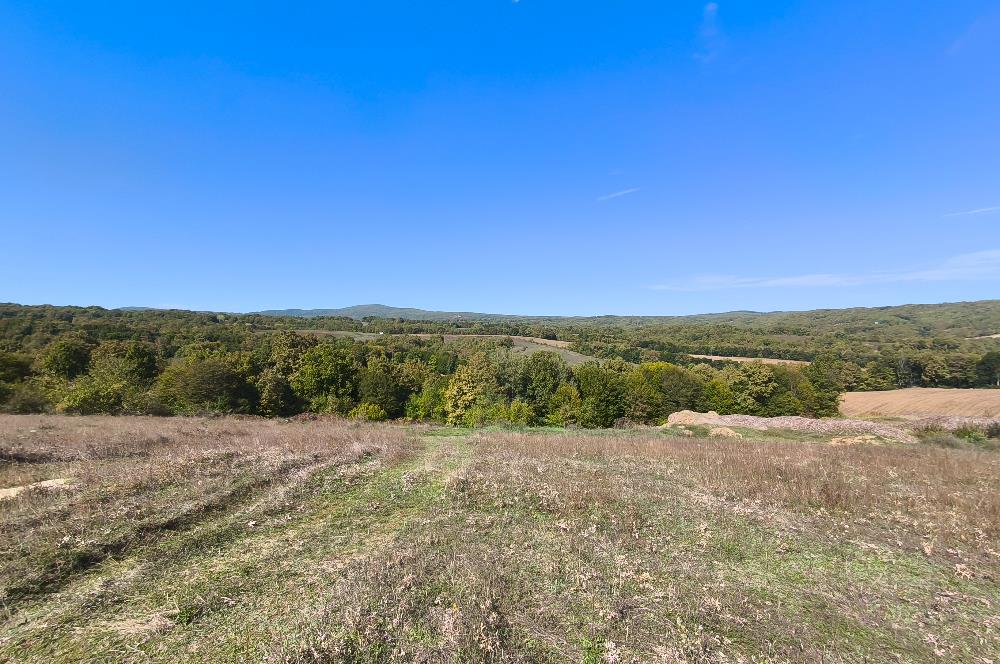 CENTURY21|NEXAR'DAN KIRKLARELİ DEMİRKÖY'DE KONUT İMARLI ARSA