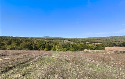 CENTURY21|NEXAR'DAN KIRKLARELİ DEMİRKÖY'DE KONUT İMARLI ARSA