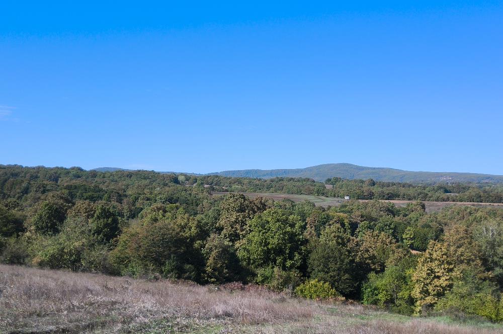 CENTURY21|NEXAR'DAN KIRKLARELİ DEMİRKÖY'DE KONUT İMARLI ARSA