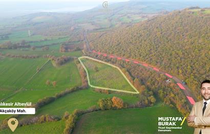 C21 BAL'DAN AKÇAKÖYDE//3750M2// YOLU AÇIK// SATILIK TARLA