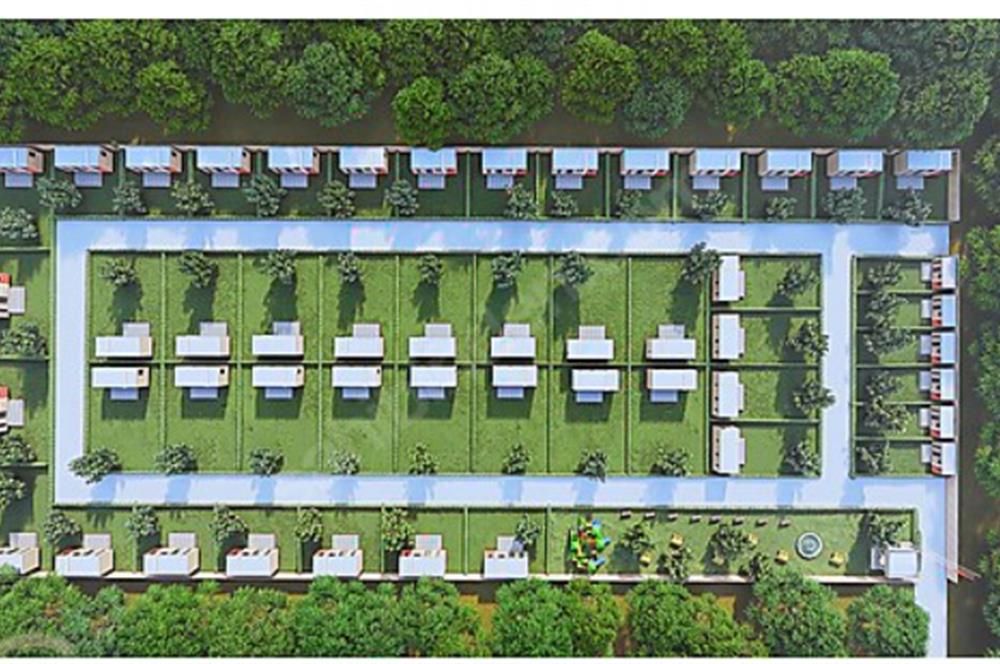 ACİL SATILIK C21 LOCA'DAN 7624 M2 SATILIK ZEYTİNLİK