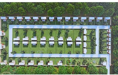 ACİL SATILIK C21 LOCA'DAN 7624 M2 SATILIK ZEYTİNLİK