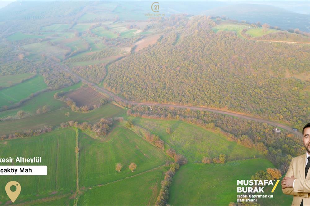 C21 BAL'DAN AKÇAKÖYDE//3750M2// YOLU AÇIK// SATILIK TARLA
