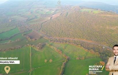 C21 BAL'DAN AKÇAKÖYDE//3750M2// YOLU AÇIK// SATILIK TARLA