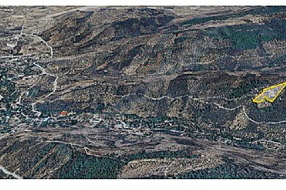 ACİL SATILIK C21 LOCA'DAN 7624 M2 SATILIK ZEYTİNLİK