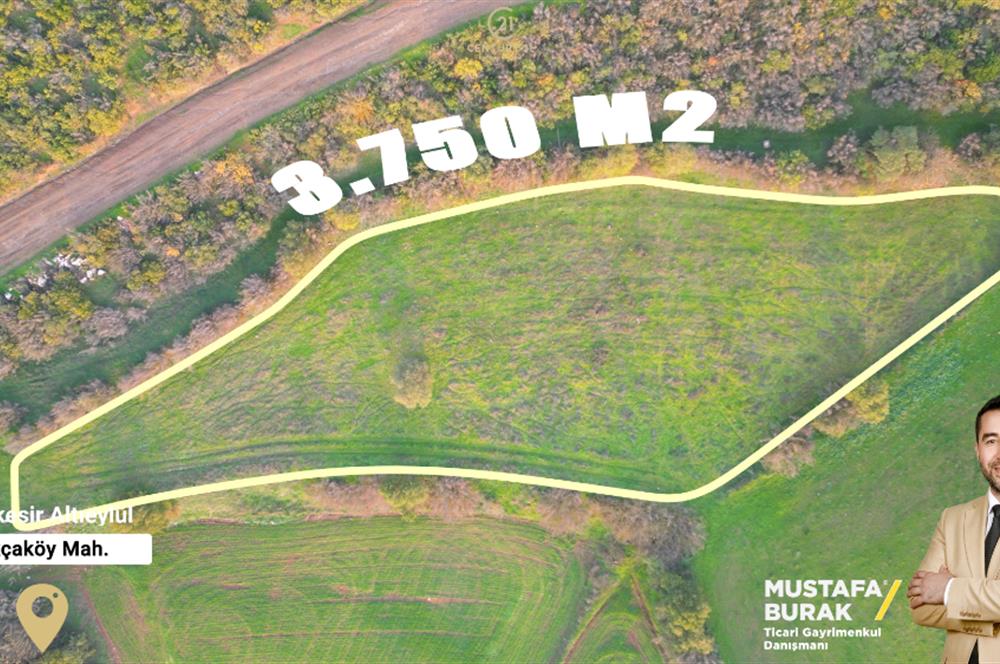 C21 BAL'DAN AKÇAKÖYDE//3750M2// YOLU AÇIK// SATILIK TARLA