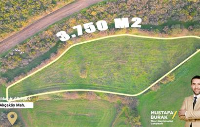 C21 BAL'DAN AKÇAKÖYDE//3750M2// YOLU AÇIK// SATILIK TARLA