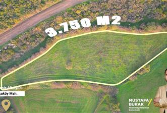 C21 BAL'DAN AKÇAKÖYDE//3750M2// YOLU AÇIK// SATILIK TARLA - 7 - 30228