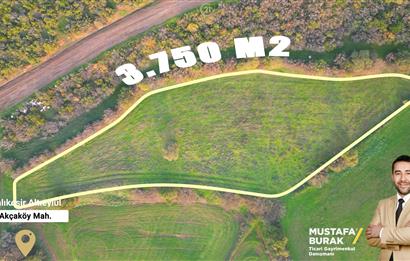 C21 BAL'DAN AKÇAKÖYDE//3750M2// YOLU AÇIK// SATILIK TARLA