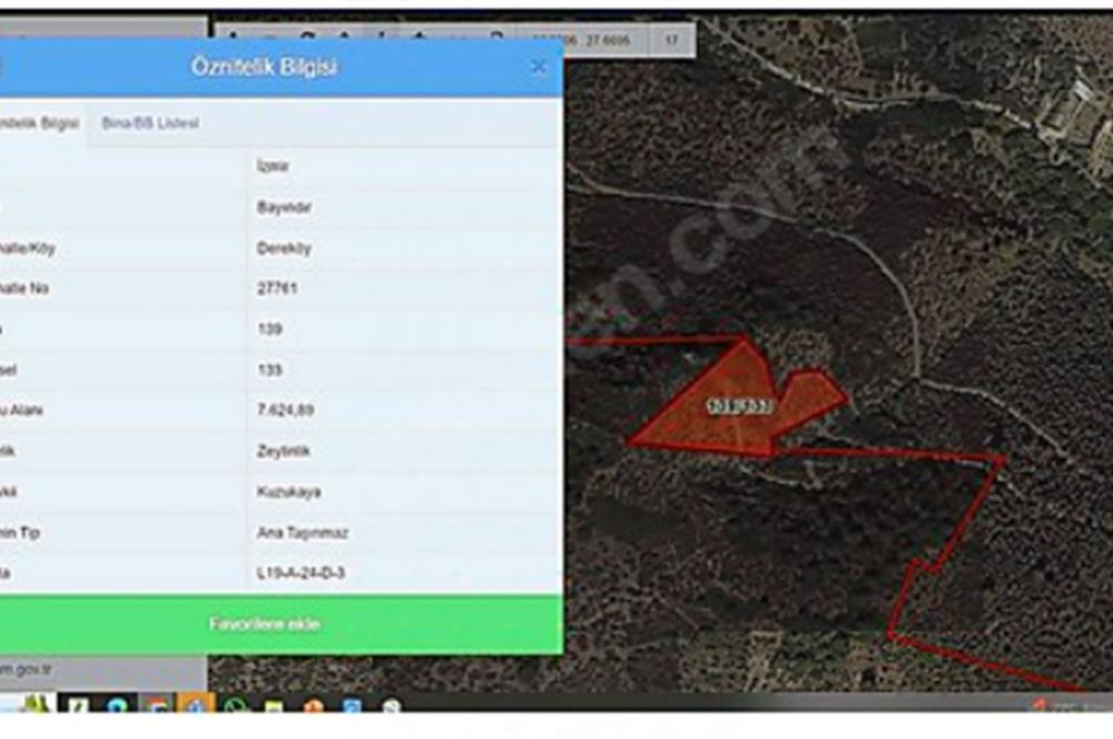 ACİL SATILIK C21 LOCA'DAN 7624 M2 SATILIK ZEYTİNLİK