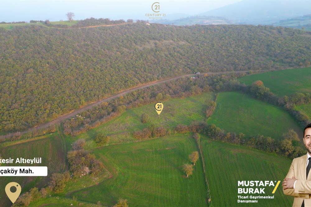 C21 BAL'DAN AKÇAKÖYDE//3750M2// YOLU AÇIK// SATILIK TARLA
