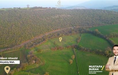 C21 BAL'DAN AKÇAKÖYDE//3750M2// YOLU AÇIK// SATILIK TARLA