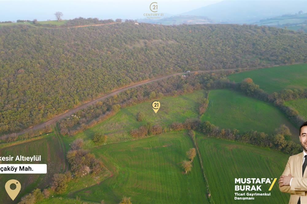 C21 BAL'DAN AKÇAKÖYDE//3750M2// YOLU AÇIK// SATILIK TARLA