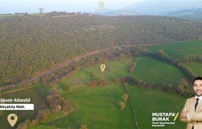 C21 BAL'DAN AKÇAKÖYDE//3750M2// YOLU AÇIK// SATILIK TARLA