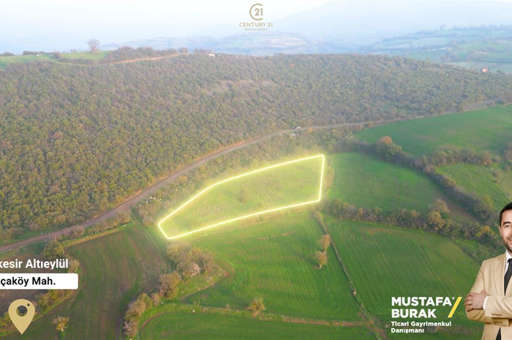 C21 BAL'DAN AKÇAKÖYDE//3750M2// YOLU AÇIK// SATILIK TARLA