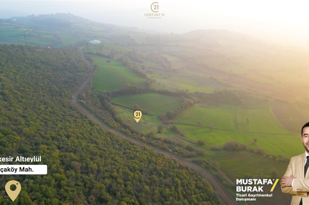 C21 BAL'DAN AKÇAKÖYDE//3750M2// YOLU AÇIK// SATILIK TARLA