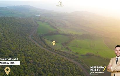 C21 BAL'DAN AKÇAKÖYDE//3750M2// YOLU AÇIK// SATILIK TARLA