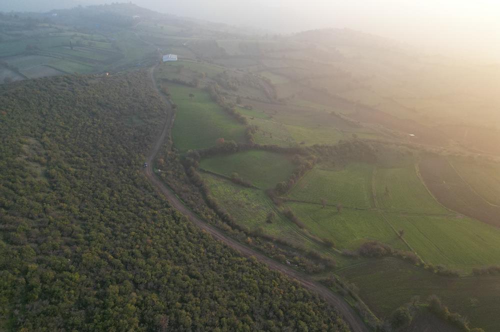 C21 BAL'DAN AKÇAKÖYDE//3750M2// YOLU AÇIK// SATILIK TARLA