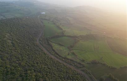C21 BAL'DAN AKÇAKÖYDE//3750M2// YOLU AÇIK// SATILIK TARLA