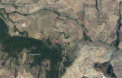 BALIKESİR ARMUTALAN'DA YOL CEPHELİ YATIRIMLIK TARLA C21 BAL