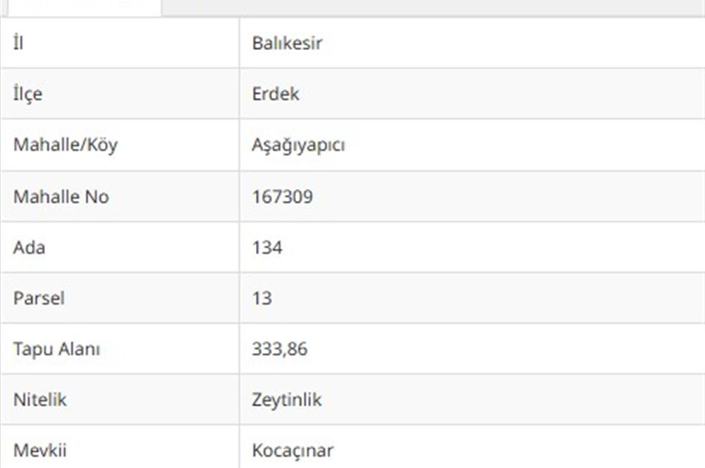 333 m2 AŞAĞIYAPICI SATILIK ZEYTİNLİK