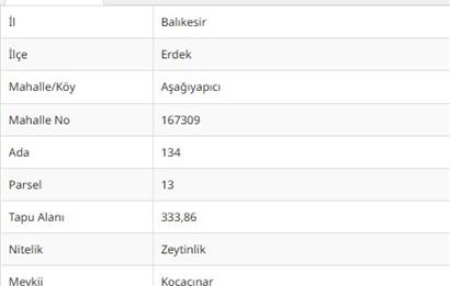 333 m2 AŞAĞIYAPICI SATILIK ZEYTİNLİK