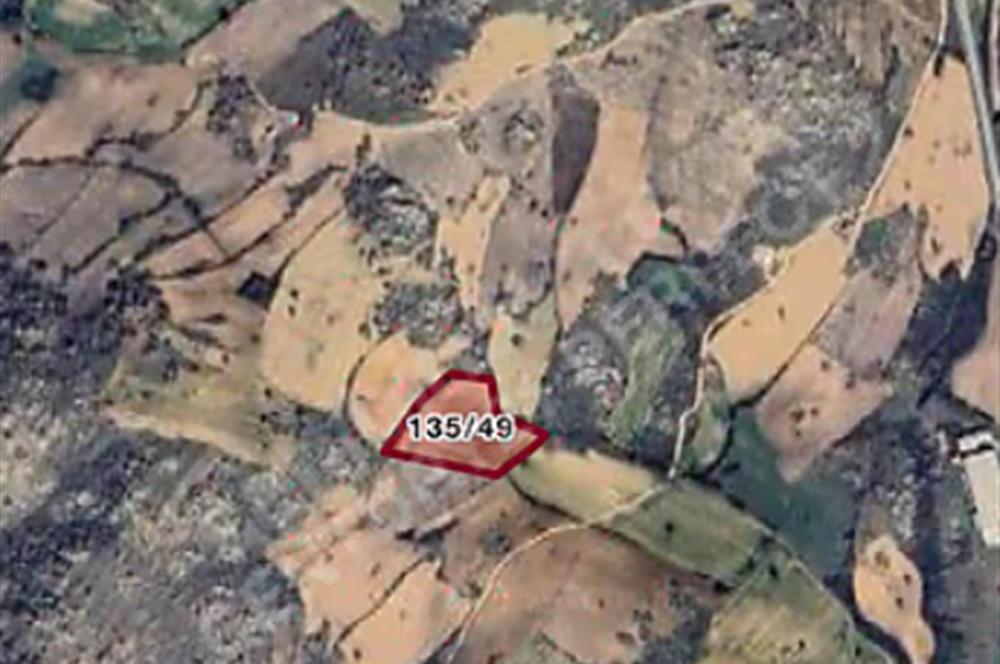 Kırklareli Merkez Üniversiteye yakın satılık tarla fırsat