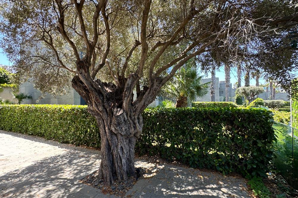 Bodrum Turgutreis Swissotel Residences Satılık 3+1 Dubleks Villa