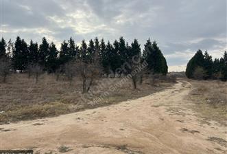 ERGENE VELİMEŞE 3 KAT İMARLI 737 M2 ARSA - 1 - 30217