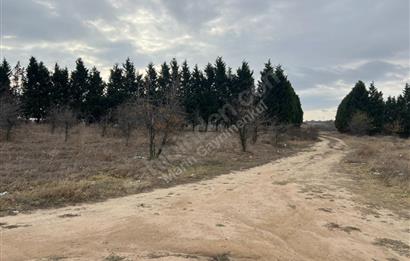 ERGENE VELİMEŞE 3 KAT İMARLI 737 M2 ARSA