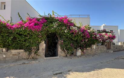 Century 21 Trio'dan Bodrum Koyunbaba'da Satılık Villa