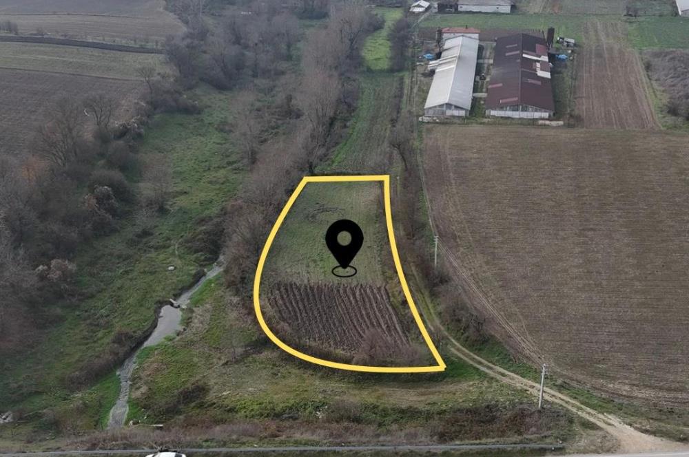 NARVEN YOLU ÜZERİNDE 1771M2 TARLA