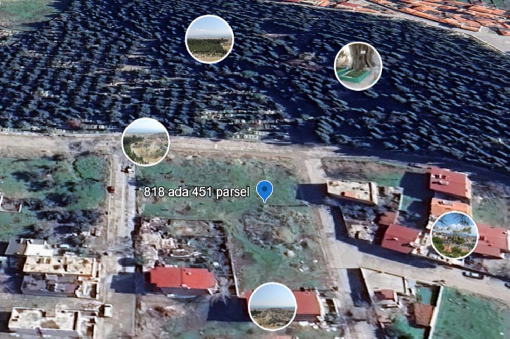 C21 BAL’DAN EDREMİT İBRAHİMCE’DE// YOLA YAKIN 199 m2 ARSA