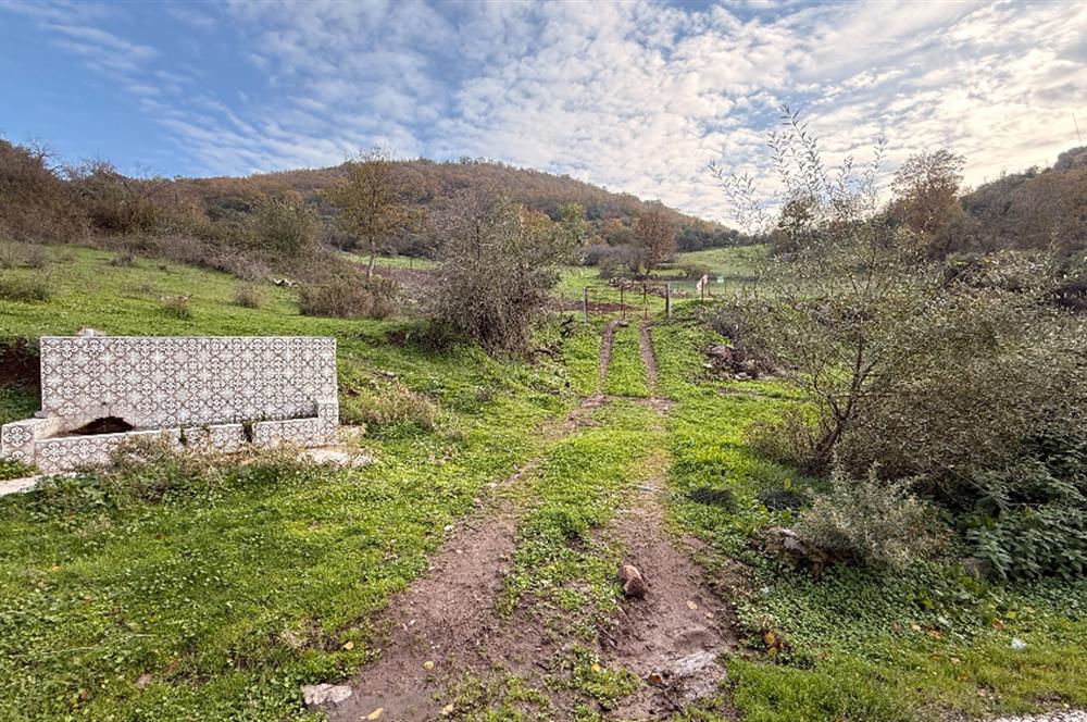 CENTURY21 Bal'DAN BALIKESİR-ALTIEYLÜL-YEŞİLLER MAHALLESİNDE SATILIK ARSAKLESİNDE SATILIK ARSALILESİNDE