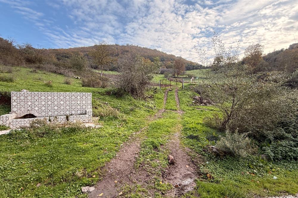 CENTURY21 Bal'DAN BALIKESİR-ALTIEYLÜL-YEŞİLLER MAHALLESİNDE SATILIK ARSAKLESİNDE SATILIK ARSALILESİNDE