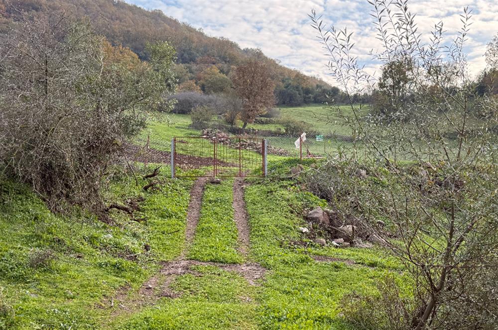 CENTURY21 Bal'DAN BALIKESİR-ALTIEYLÜL-YEŞİLLER MAHALLESİNDE SATILIK ARSAKLESİNDE SATILIK ARSALILESİNDE