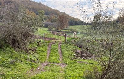 CENTURY21 Bal'DAN BALIKESİR-ALTIEYLÜL-YEŞİLLER MAHALLESİNDE SATILIK ARSAKLESİNDE SATILIK ARSALILESİNDE