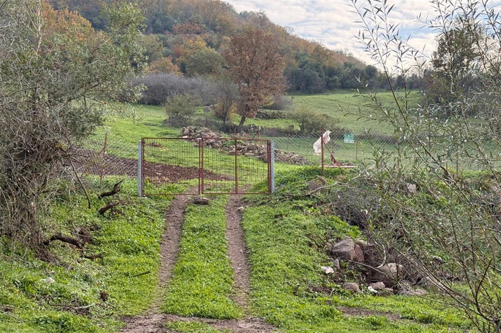 CENTURY21 Bal'DAN BALIKESİR-ALTIEYLÜL-YEŞİLLER MAHALLESİNDE SATILIK ARSAKLESİNDE SATILIK ARSALILESİNDE