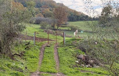 CENTURY21 Bal'DAN BALIKESİR-ALTIEYLÜL-YEŞİLLER MAHALLESİNDE SATILIK ARSAKLESİNDE SATILIK ARSALILESİNDE