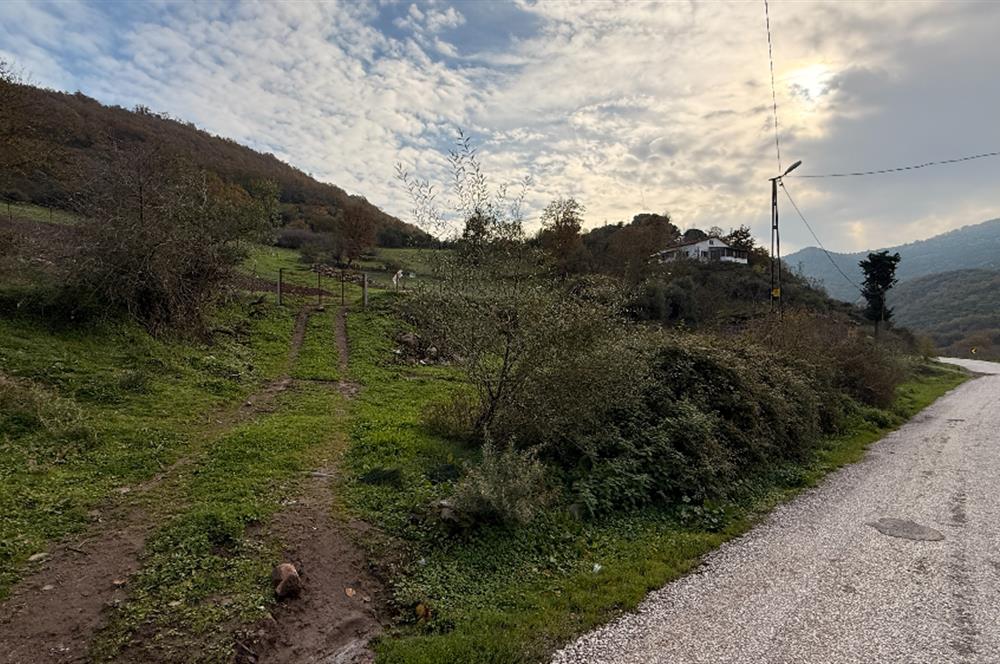 CENTURY21 Bal'DAN BALIKESİR-ALTIEYLÜL-YEŞİLLER MAHALLESİNDE SATILIK ARSAKLESİNDE SATILIK ARSALILESİNDE