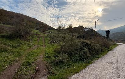 CENTURY21 Bal'DAN BALIKESİR-ALTIEYLÜL-YEŞİLLER MAHALLESİNDE SATILIK ARSAKLESİNDE SATILIK ARSALILESİNDE