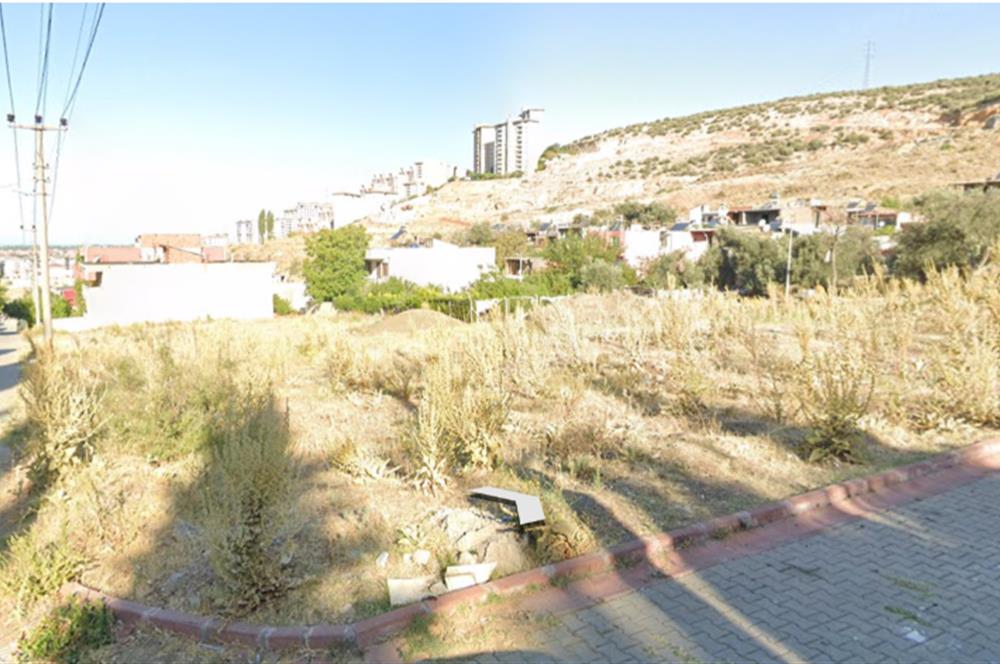 C21 BAL’DAN EDREMİT İBRAHİMCE’DE// YOLA YAKIN 199 m2 ARSA