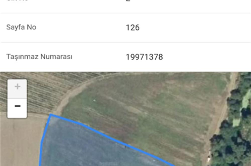 C21 LOCA'DAN SATILIK DERE KENARI SULANABİLİR 5700 M2 TARLA