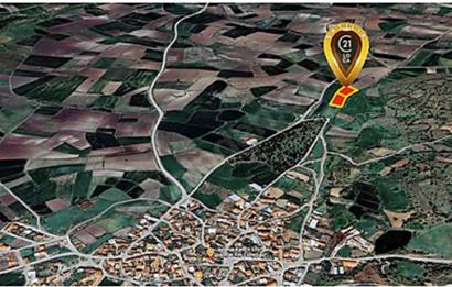 C21 LOCA'DAN FIRSAT 5562 M2 KÖYE 500 METRE TARLA 